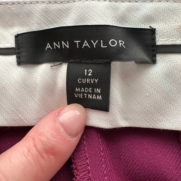Ann Taylor High Rise Straight Leg Stretch Trousers Size 12 Curvy Fit EUC - Picture 4 of 6